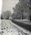 1900-1907 ca CHRISSY CROIL (m. Vlasto) PHOTOGRAPHS OF CROIL AND MITCHELL FAMILY Snow scene in or near Milwaukee or the St Lawrence River near Montreal